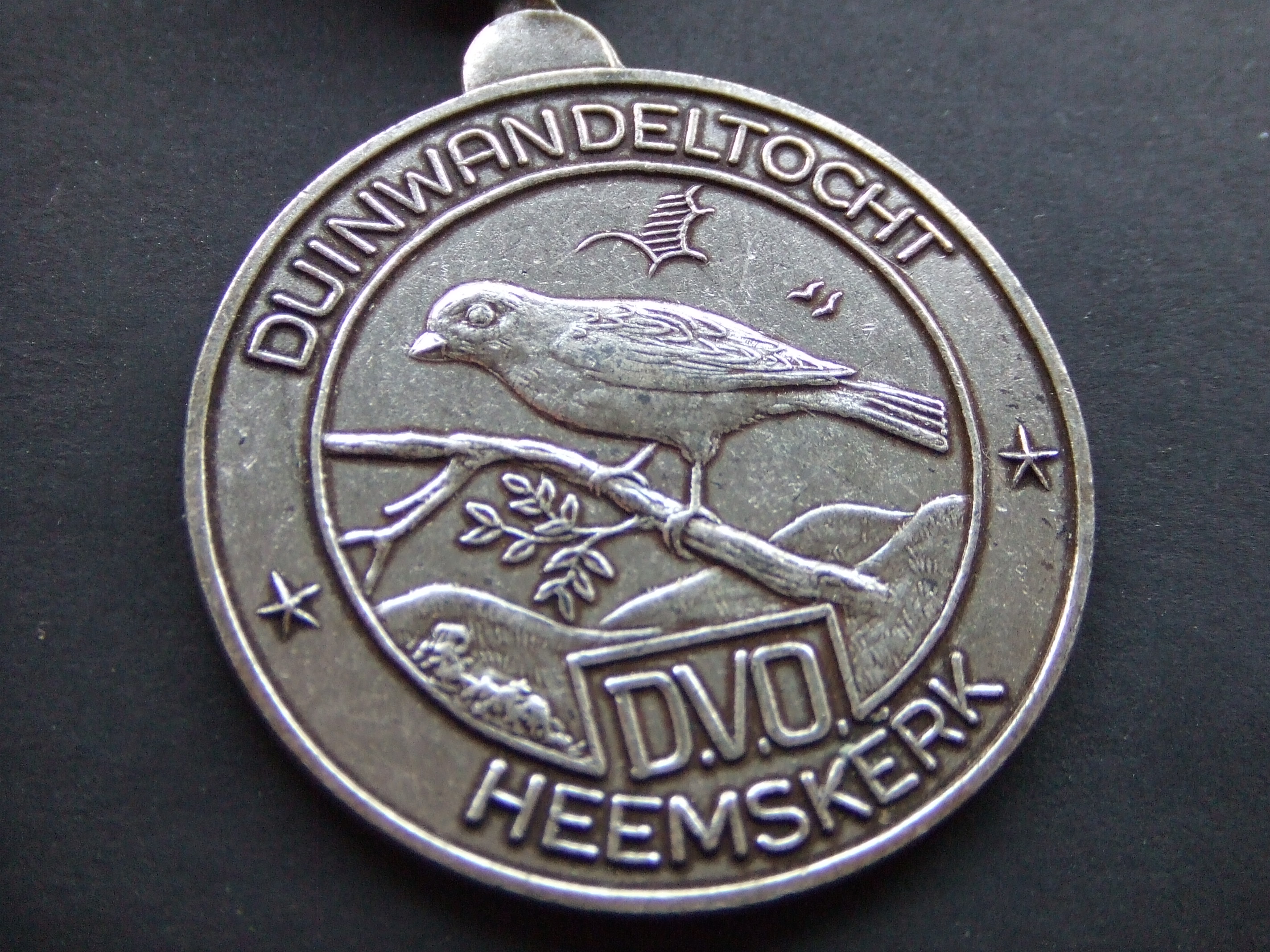 Heemskerk gemeente Midden-Kennemerland afbeelding zangvogel
